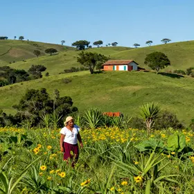 historia-do-visconde-de-sabugosa-descubra-seus-segredos-escondidos
